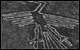 Google Maps / Google Earth - The Nazca lines mystery